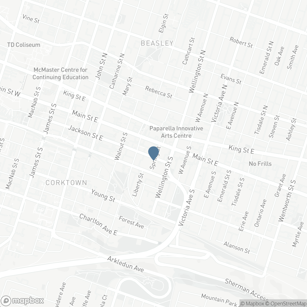22 SPRING Street, Hamilton, Ontario L8N 2N9